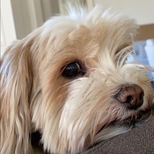 Meet your Posher, Madeleine